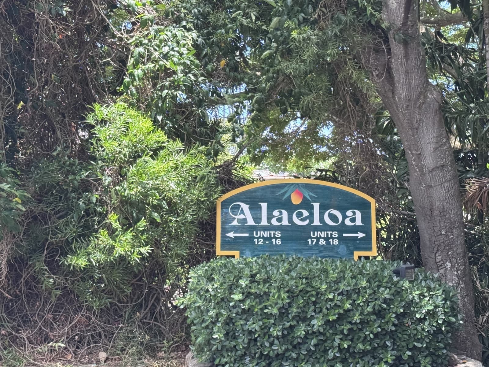 Alaeloa — Napili, West Maui — condo guide
