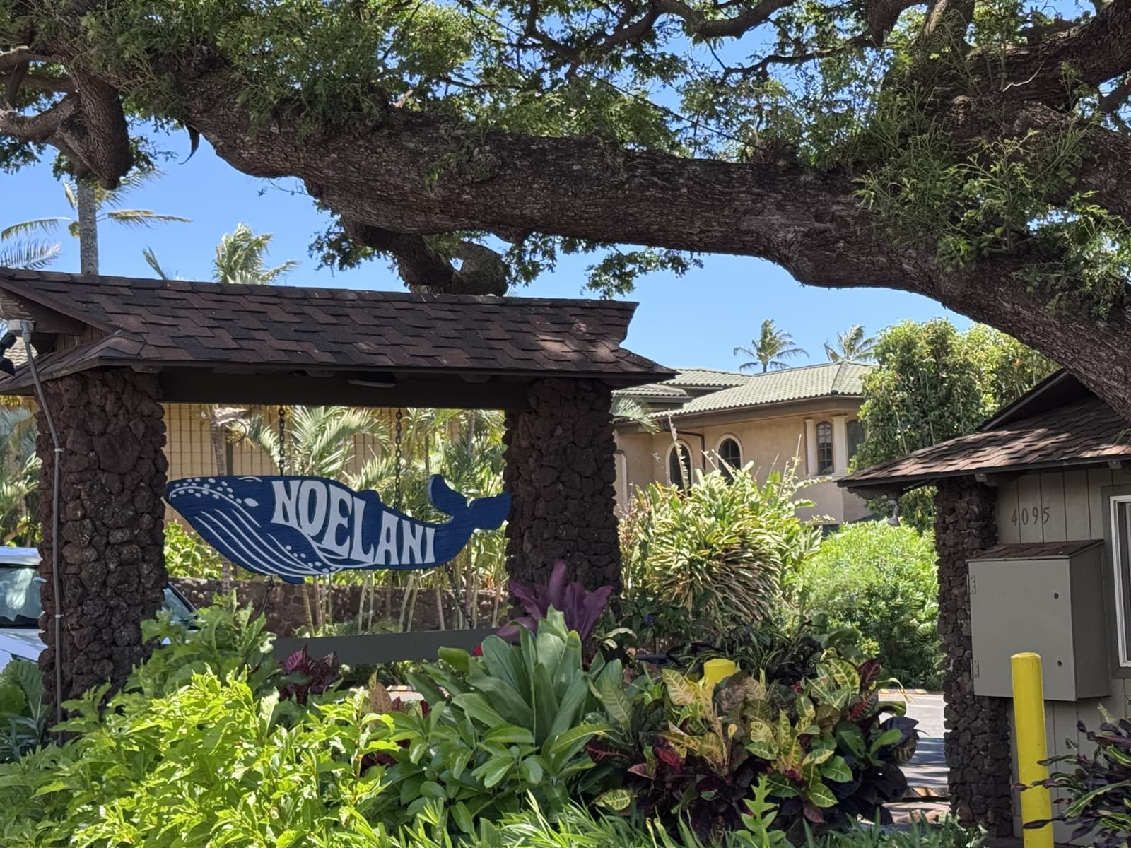 Noelani — Mahinahina, West Maui — condo guide